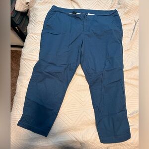 Kut from the Kloth Women's Blue Cropped Pants